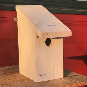 Fuglekasse