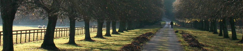 Skule blog