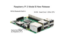 Raspberry