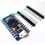 Arduino Micro 