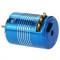 Sensored Brushless Motor